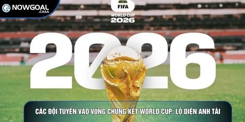 Các đội tuyển vào vòng chung kết World Cup